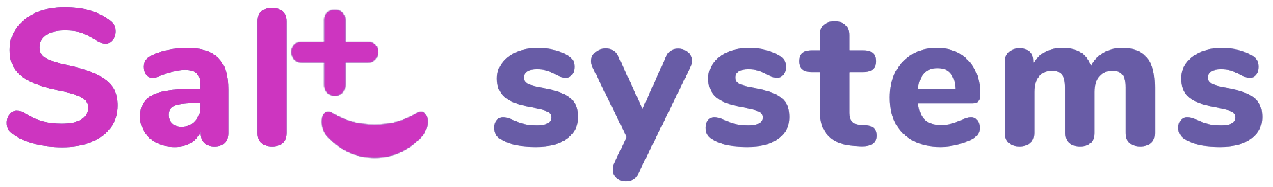 Salt Systems